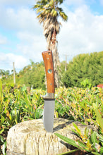 Load image into Gallery viewer, 311BBD Damax Queen Ebony &amp; Paua
