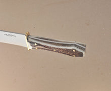 Load image into Gallery viewer, Coffin Handle Bowie Mini Stag

