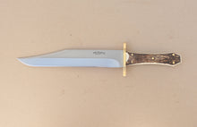 Load image into Gallery viewer, Coffin Handle Bowie Stag
