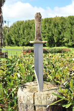 Load image into Gallery viewer, Coffin Handle Bowie Stag
