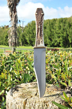 Load image into Gallery viewer, Coffin Handle Bowie Mini Stag
