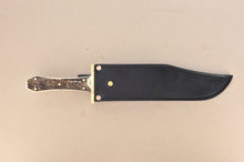 Load image into Gallery viewer, Coffin Handle Bowie Stag
