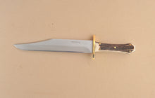 Load image into Gallery viewer, Coffin Handle Bowie Stag
