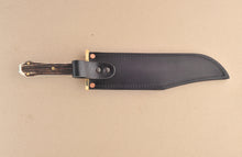 Load image into Gallery viewer, Coffin Handle Bowie Stag
