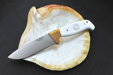 Load image into Gallery viewer, 370BB Mother of Pearl
