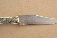 Load image into Gallery viewer, Coffin Handle Bowie Mini Stag
