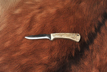 Load image into Gallery viewer, Bird &amp; Trout Stag
