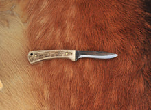 Load image into Gallery viewer, Bird &amp; Trout Stag
