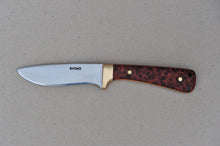 Load image into Gallery viewer, Drop Point 310BB Totara Burl
