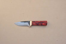Load image into Gallery viewer, Tramper Burl
