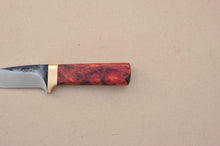 Load image into Gallery viewer, Tramper Burl
